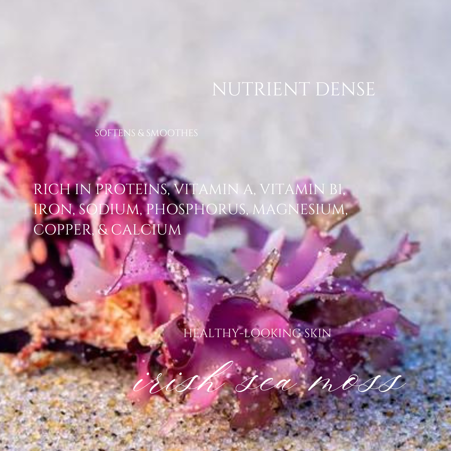 fountain-of-youth-natural-beauty-serum-skin-mastery